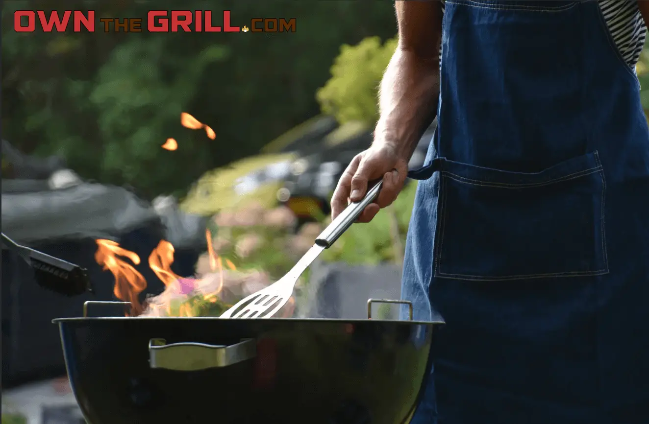 What Are the Different Types of Grills? [& Guide To All Types]