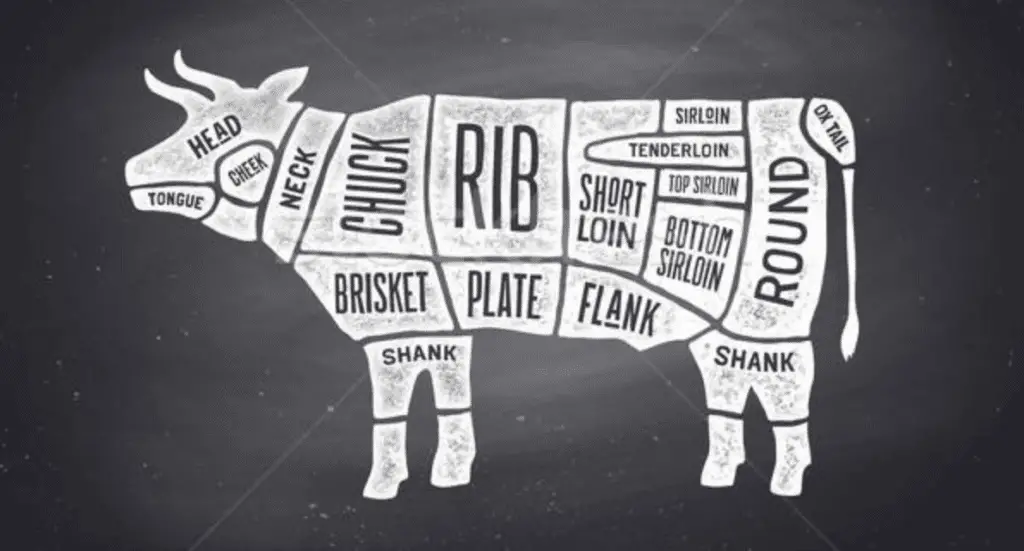 picture of a cow and sectioned off with the different cuts of meat