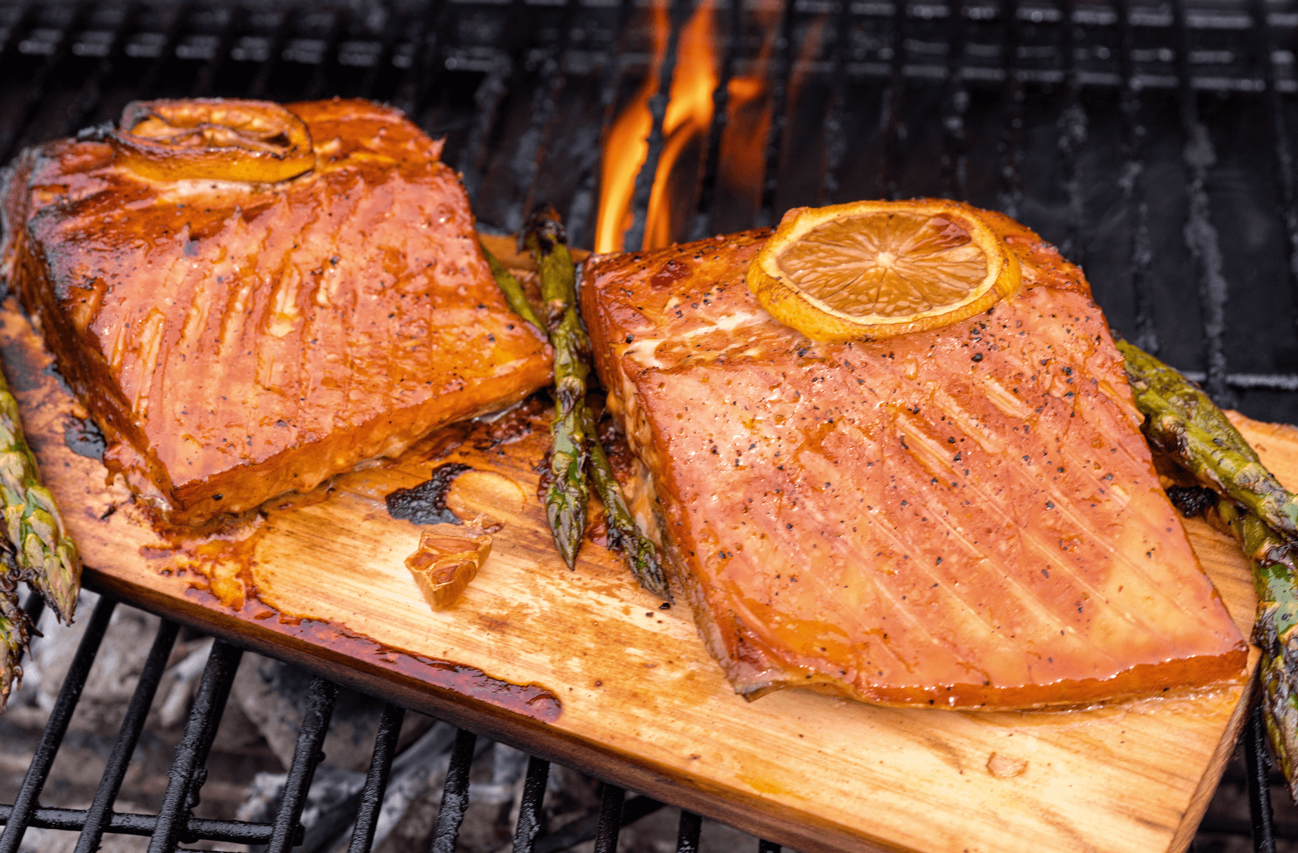 Salmon burnt ends traeger