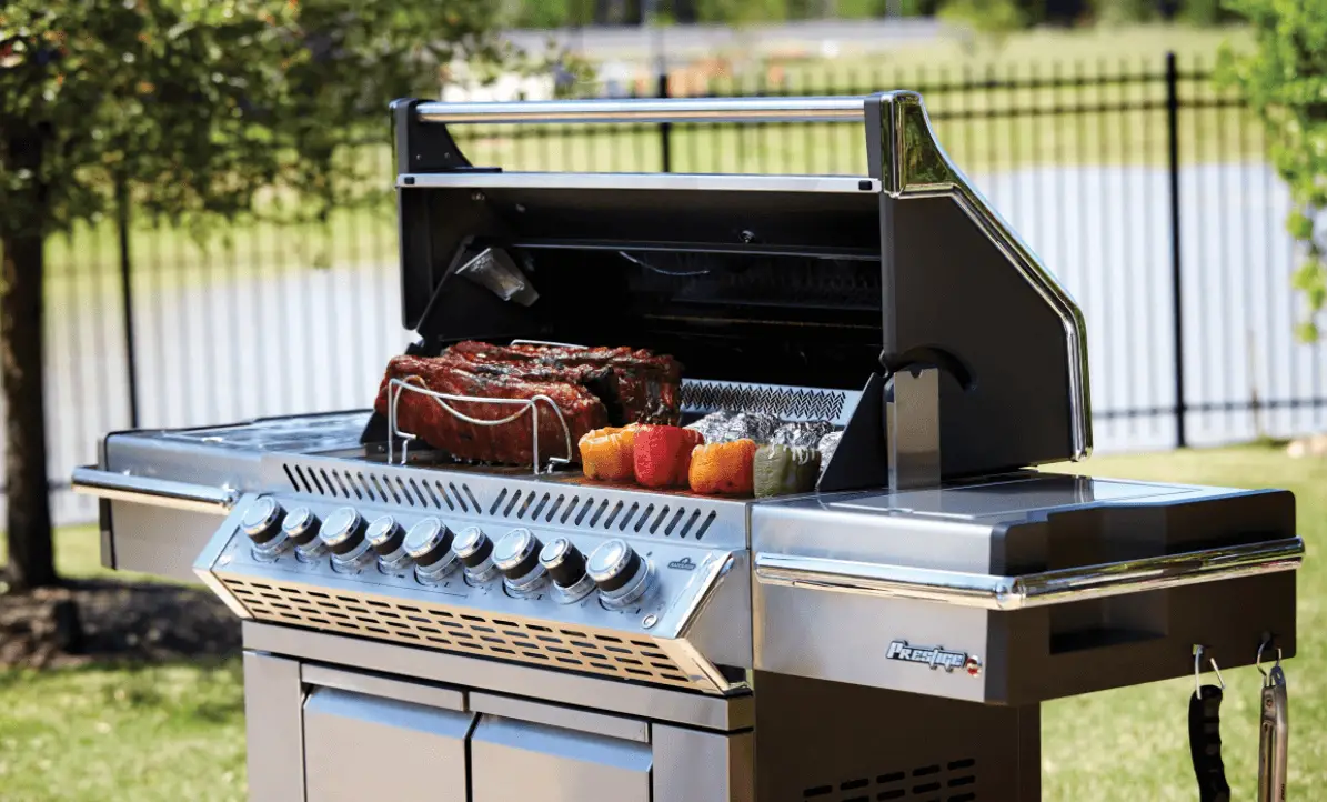 Napoleon Grill Reviews Updated For, Outdoor Propane Grill Reviews