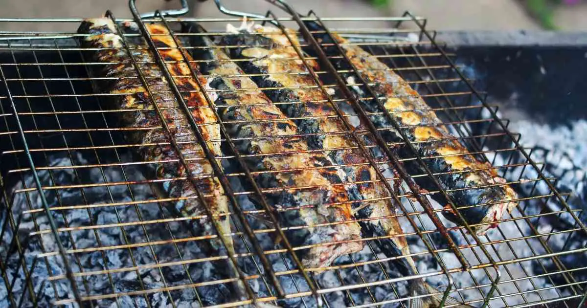 grilling fish on charcoal